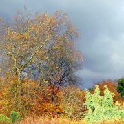Photo of Wakehurst Place