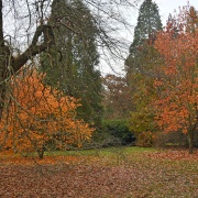 Photo of Sheffield Park & Garden