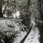 Photo of Fairlight Cove