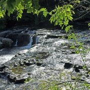 Photo of Aysgarth Falls