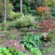 Photo of Chiddingfold