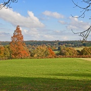 Photo of Emmetts Garden