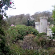 Photo of Caerhays Castle & Gardens