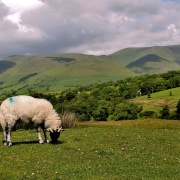 Photo of Dentdale