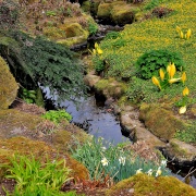 Photo of Harlow Carr Gardens, Harrogate