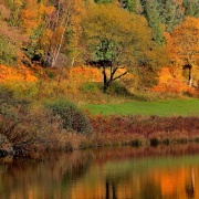 Photo of Dalby Forest