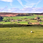 Photo of Strines Reservoir
