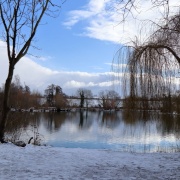 Photo of Sutton at Hone