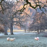 Photo of Brampton Bryan