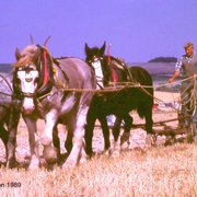 Photo of Tarrant Hinton