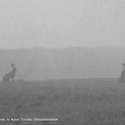 Photo of Acton Turville