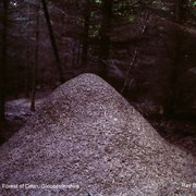 Photo of Hillersland