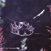 Photo of Acton Turville