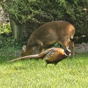 Photo of Bury St Edmunds