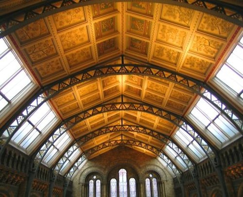The Natural History Museum