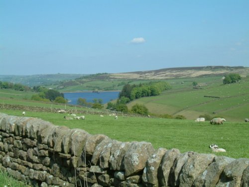North Yorkshire