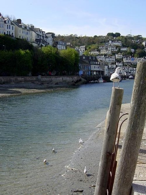 Looe