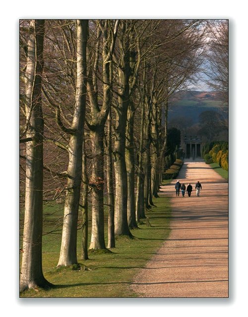 Chatsworth House gardens