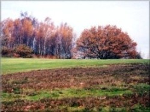 Charnwood Forest Golf Club