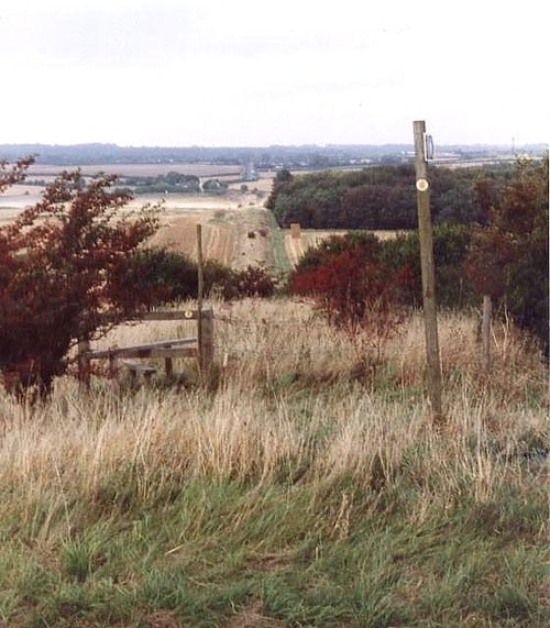 The Ackling Dyke; A Roman road from Salisbury in Wiltshire to Dorchester in Dorset.