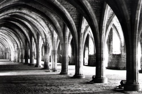 Fountains Abbey , Near Ripon North Yorkshire
