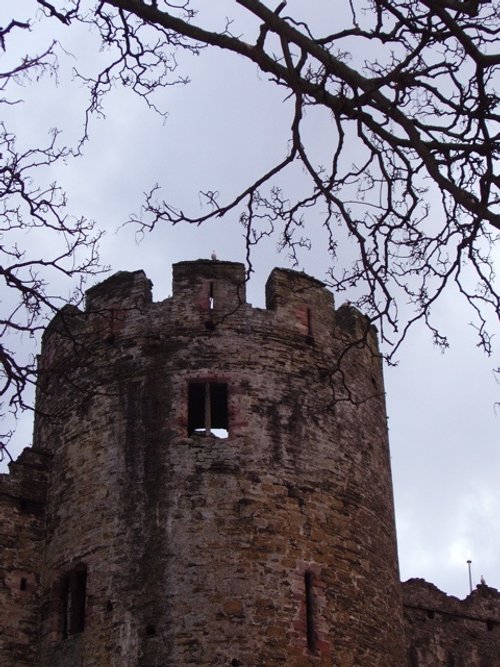 Conwy Castle