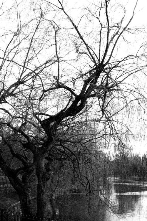 Wardown Park & Museum