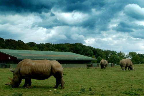 Whipsnade Zoo