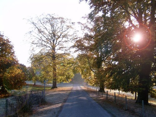 Sudely Drive, Winchcombe, Glos