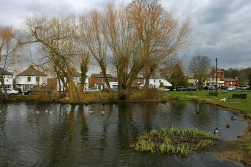 Esher west end green