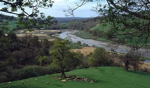 River Dart between Totnes and Ashprington