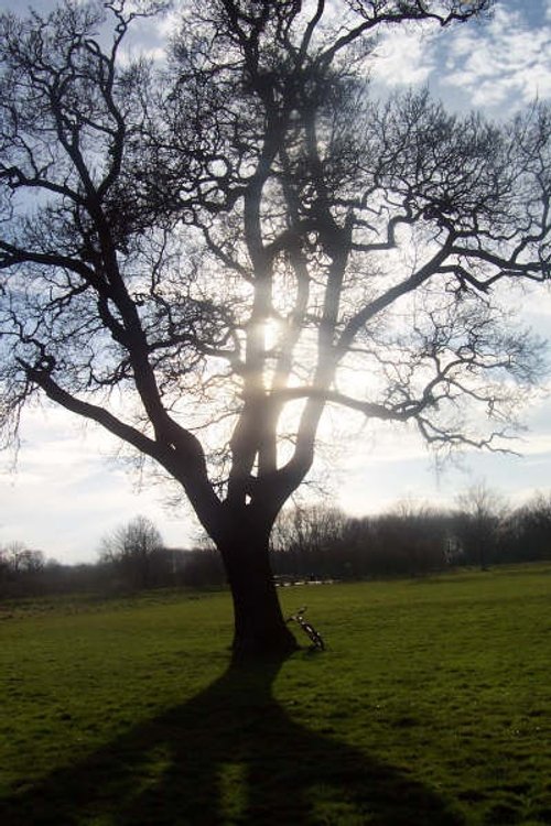 Ferry Meadows Country Park