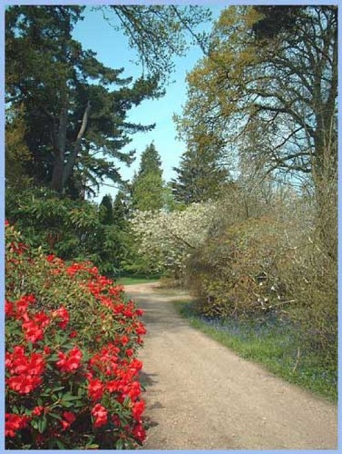 Exbury Gardens