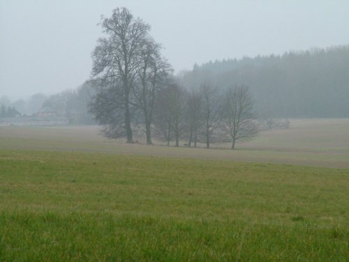 Fox Farm, Amport, Hampshire