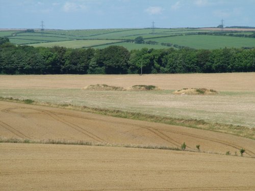 Round barrows, Winterbourne Abbas, Dorset