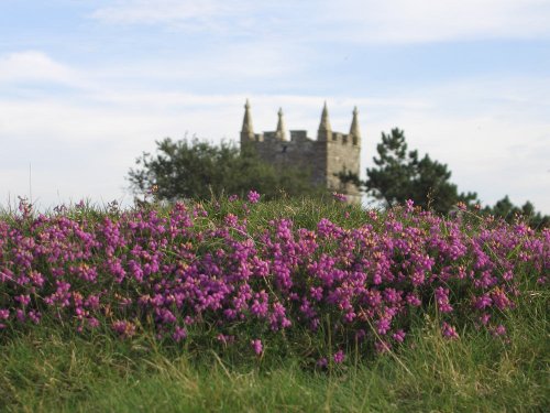Countisbury, North Devon