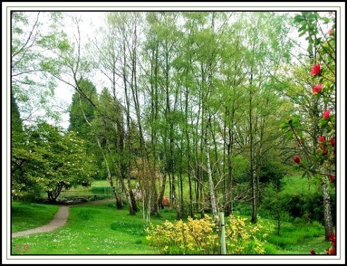 A picture of Furzey Gardens