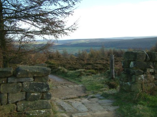 Taken from view point at Captain Cooks Monument, Nr Great Ayton