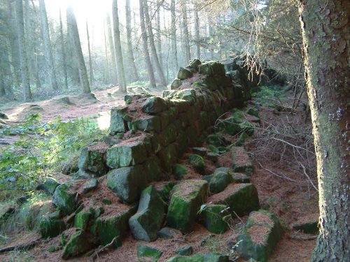 Footpath going up to Captain Cooks Nr Great Ayton. Taken in Feb 2005.