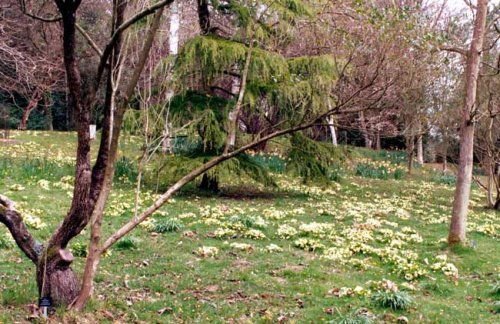 Hillier Gardens & Arboretum