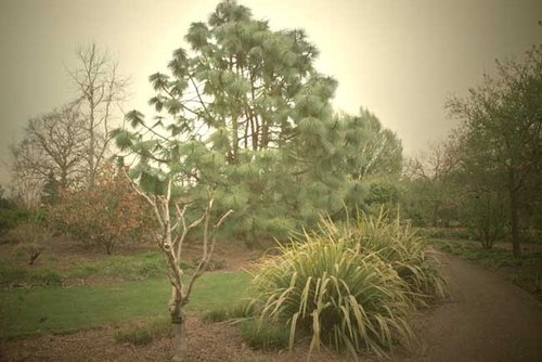 Hillier Gardens & Arboretum