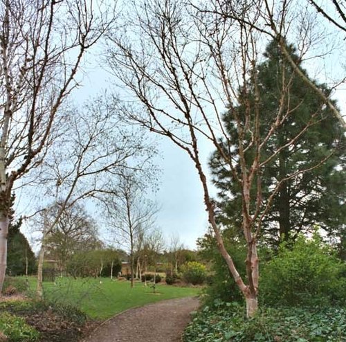 Hillier Gardens & Arboretum