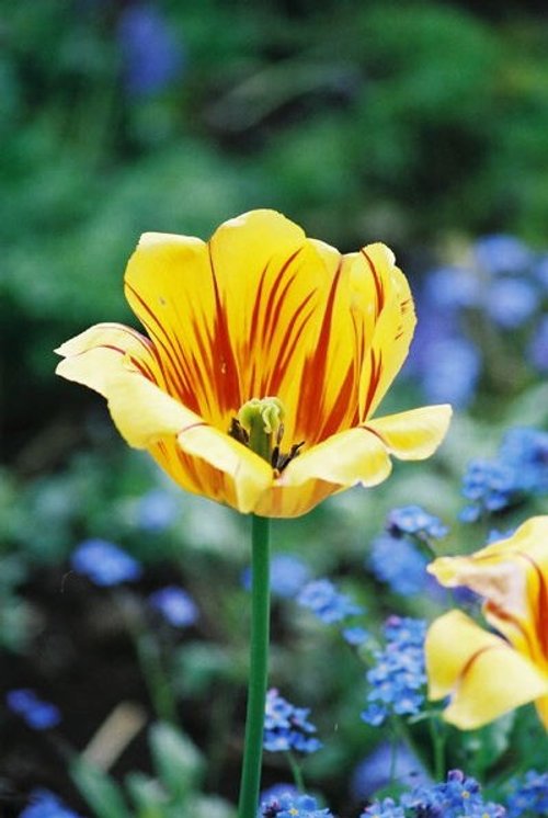 True Colour, Cotswolds Wildlife Park. Burford.