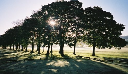 Towneley Homes on a May morning
