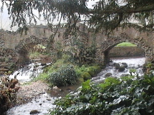 Dunster Castle & Garden