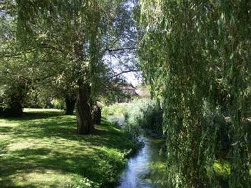 The stream, Elstead Mill