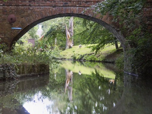 Basingstoke Canal