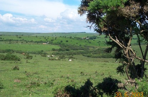 Bodmin Moor