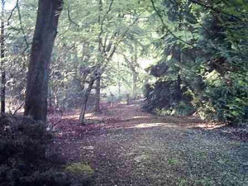 Forest Trail in Tilgate Forest Country Park near The Forest Bed and Breakfast