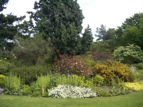 Beth Chatto Gardens